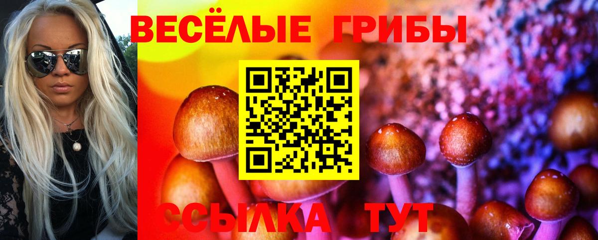 Псилоцибиновые грибы мицелий Белореченск