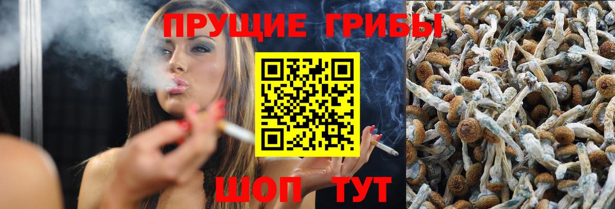 Псилоцибиновые грибы мицелий  Вход с VPN  Белореченск 